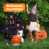 Halloween Pumpkin Costume for Dogs & Cats product image Halloween Pumpkin Costume for Dogs & Cats product image