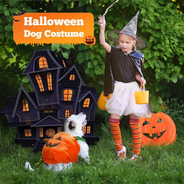 Halloween Pumpkin Costume for Dogs & Cats product image Halloween Pumpkin Costume for Dogs & Cats product image