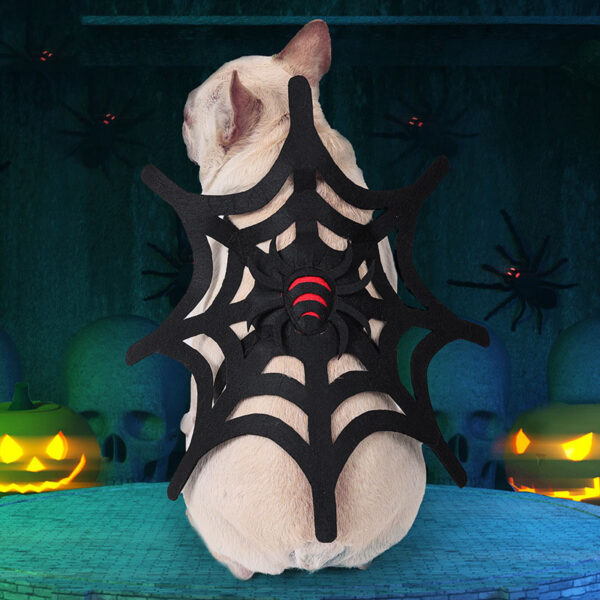 Halloween Spider Web Pet Clothing product image Halloween Spider Web Pet Clothing product image