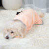 Quick-Dry Absorbent Pet Towel product image