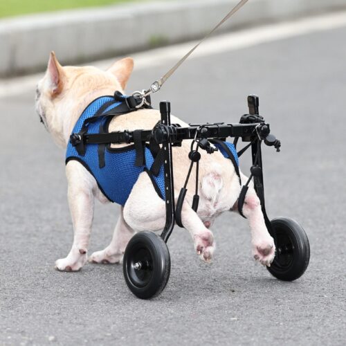 Pet Dog Wheelchair Scooter – Blue | XS, S & M product image