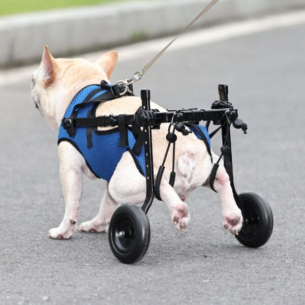 Pet Dog Wheelchair Scooter – Blue | XS, S & M product image