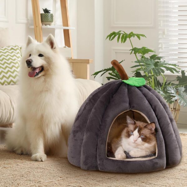 Pumpkin Cave Bed for Cats & Small Dogs Pumpkin Cave Bed for Cats & Small Dogs