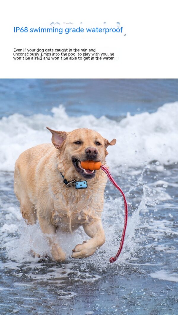 Collar for Dogs & Cats product image Collar for Dogs & Cats product image
