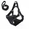 Vest-Style Dog Walking Rope product image Vest-Style Dog Walking Rope product image