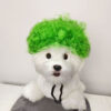 Halloween Pet Wig product image