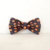 Halloween Pet Accessory Set with Bow product image Halloween Pet Accessory Set with Bow product image