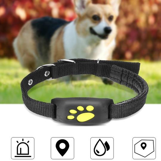 GPS Pet Tracker with Geofence Alerts product image