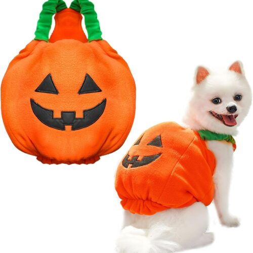 Halloween Pumpkin Costume for Dogs & Cats product image Halloween Pumpkin Costume for Dogs & Cats product image