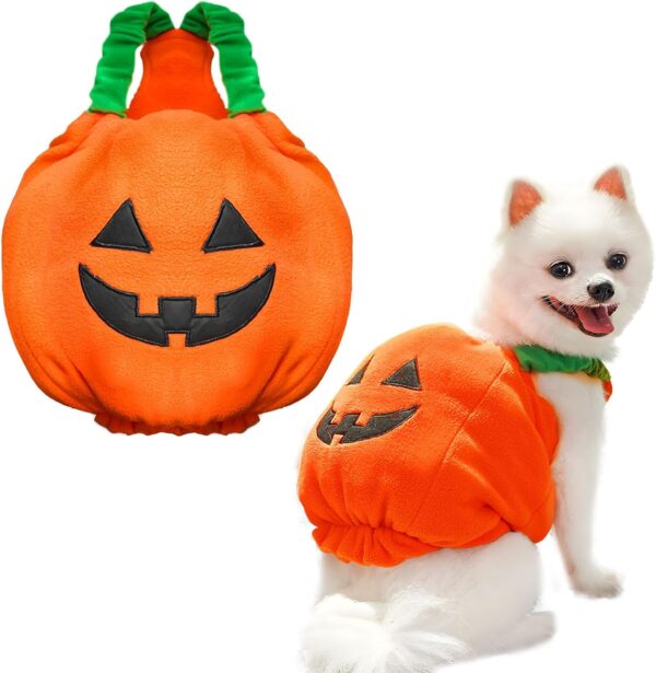 Halloween Pumpkin Costume for Dogs & Cats product image Halloween Pumpkin Costume for Dogs & Cats product image