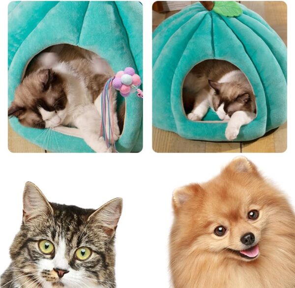 Pumpkin Cave Bed for Cats & Small Dogs product image Pumpkin Cave Bed for Cats & Small Dogs product image