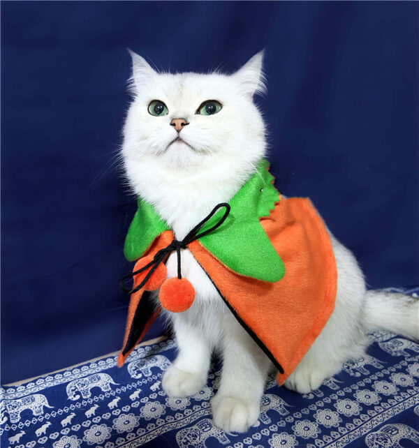 Halloween Pumpkin Double Sided Cape Dog Party product image Halloween Pumpkin Double Sided Cape Dog Party product image