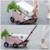 Foldable Pet Stroller for Dogs and Cats product image