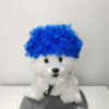 Halloween Pet Wig product image
