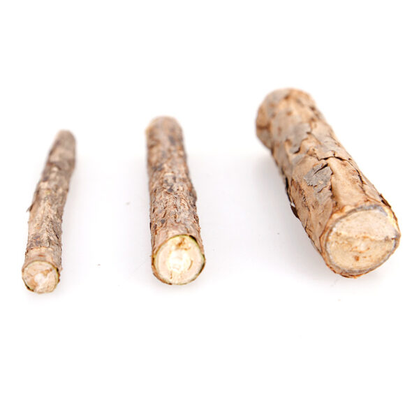 Matian Polygonum Natural Catnip Snacks for Cats product image Matian Polygonum Natural Catnip Snacks for Cats product image