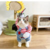 Halloween Pet Pumpkin Cloak Bat Wing Killer Makeover Costume product image Halloween Pet Pumpkin Cloak Bat Wing Killer Makeover Costume product image