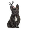 Halloween Pet Headwear product image Halloween Pet Headwear product image