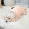 Quick-Dry Absorbent Pet Towel