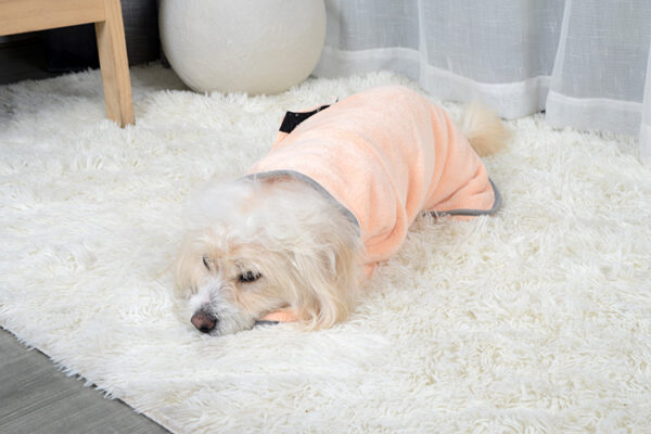 Quick-Dry Absorbent Pet Towel