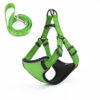 Vest-Style Dog Walking Rope product image Vest-Style Dog Walking Rope product image