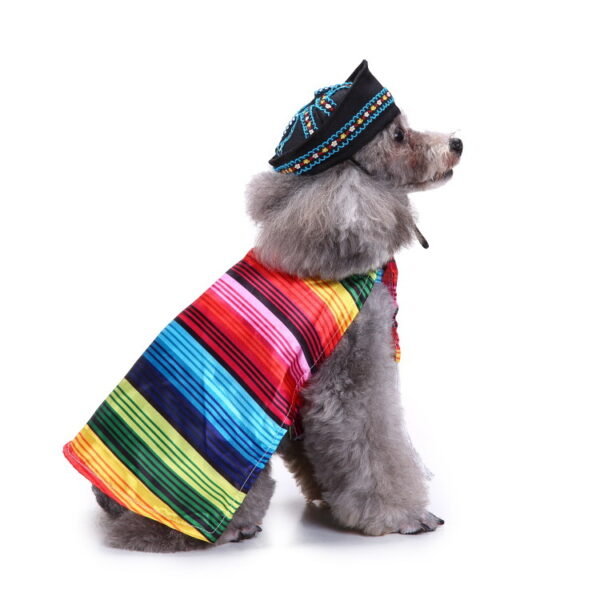Themed Dog Clothing product image