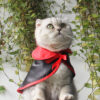 Halloween Warm Pet Cloak Halloween Warm Pet Cloak