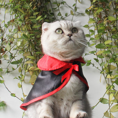Halloween Warm Pet Cloak Halloween Warm Pet Cloak