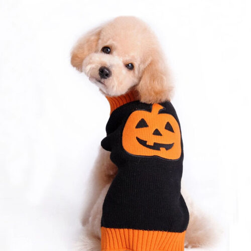 Pumpkin Sweater Dog Clothes Halloween Pumpkin Sweater Dog Clothes Halloween