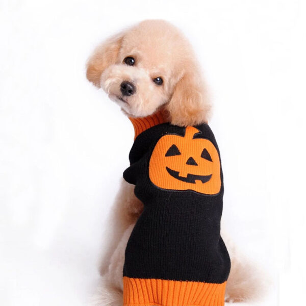 Pumpkin Sweater Dog Clothes Halloween Pumpkin Sweater Dog Clothes Halloween