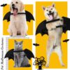 Halloween Bat Costume for Dogs & Cats product image Halloween Bat Costume for Dogs & Cats product image