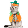 Halloween Pumpkin Pet Cloak product image