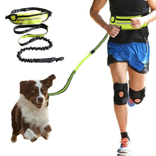 Hands-Free Bungee Dog Leash Belt product image Hands-Free Bungee Dog Leash Belt product image