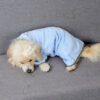 Quick-Dry Absorbent Pet Towel product image