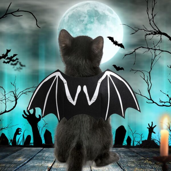 Halloween Bat Costume for Dogs & Cats product image Halloween Bat Costume for Dogs & Cats product image