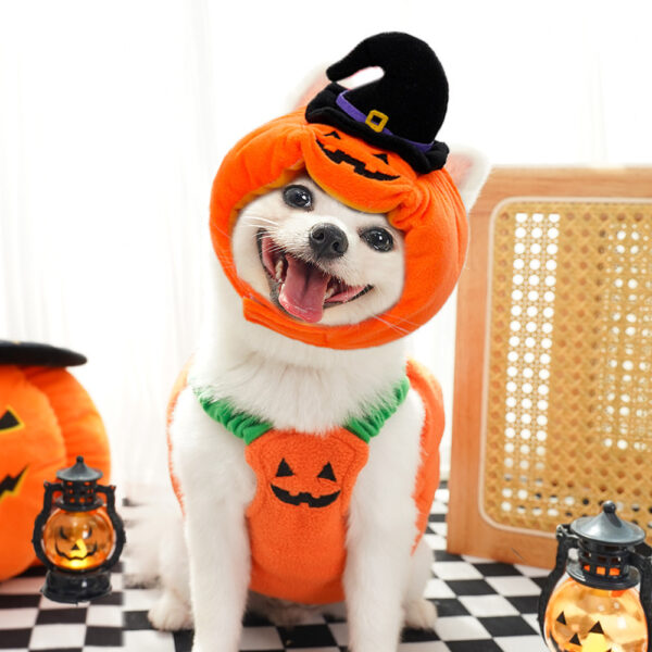 Halloween Pumpkin Costume for Dogs & Cats product image Halloween Pumpkin Costume for Dogs & Cats product image