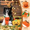 Halloween Pumpkin Costume for Dogs & Cats product image Halloween Pumpkin Costume for Dogs & Cats product image
