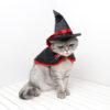 Halloween Warm Pet Cloak product image Halloween Warm Pet Cloak product image