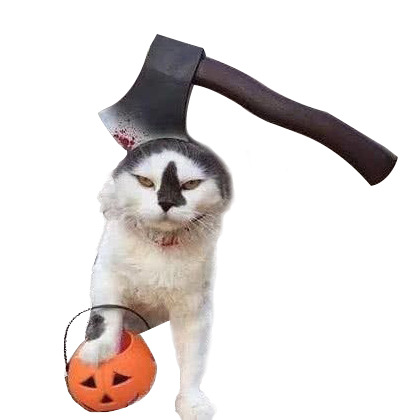Halloween Pet Headwear Halloween Pet Headwear