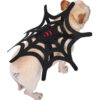 Halloween Spider Web Pet Clothing product image Halloween Spider Web Pet Clothing product image