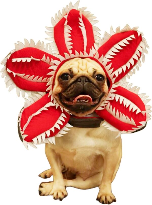 Halloween Dog Hat product image Halloween Dog Hat product image