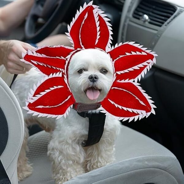 Halloween Dog Hat product image Halloween Dog Hat product image