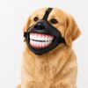 Halloween Denture-Shaped Dog Mouth Cover product image Halloween Denture-Shaped Dog Mouth Cover product image