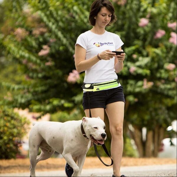 Hands-Free Bungee Dog Leash Belt product image Hands-Free Bungee Dog Leash Belt product image