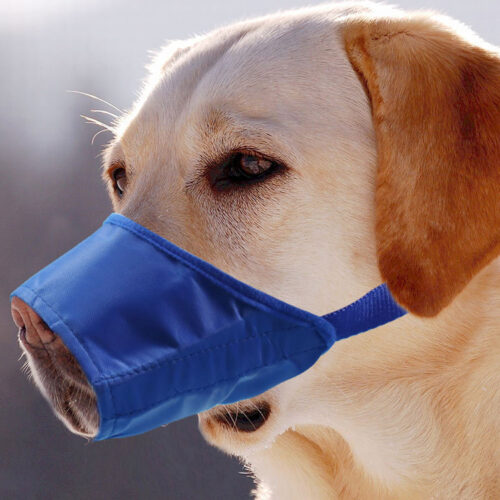 Waterproof Anti-Bite Dog Muzzle product image Waterproof Anti-Bite Dog Muzzle product image