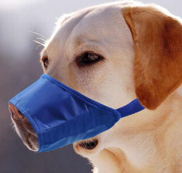 Waterproof Anti-Bite Dog Muzzle product image Waterproof Anti-Bite Dog Muzzle product image