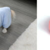 Quick-Dry Absorbent Pet Towel product image