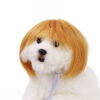 Halloween Pet Wig product image