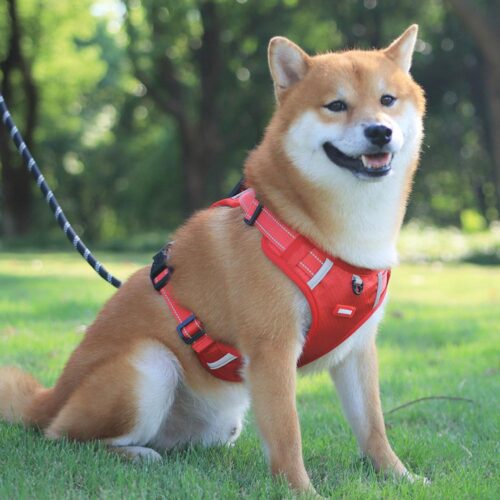 Reflective Dog Harness product image Reflective Dog Harness product image