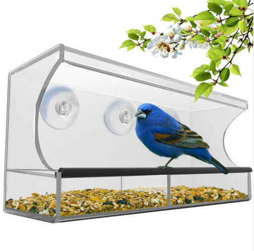 Bird Feeder Bird Feeder