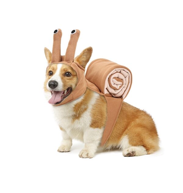 Cat Snail Headdress Costume for Dogs product image Cat Snail Headdress Costume for Dogs product image
